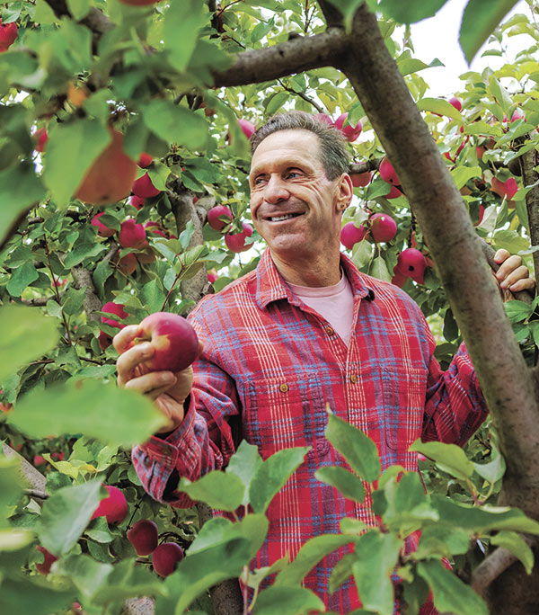 Farmer Brooke Hazen of Gold Ridge Organic Farms grows several crops but specializes in heirloom apples, producing more than 70 varieties. Photo: © 2025 Paige Green